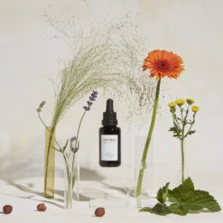 Active Botanical Sérum Huile -Cosmétique Boutique 2020 09 visuel secondaire active botanical serum TINY