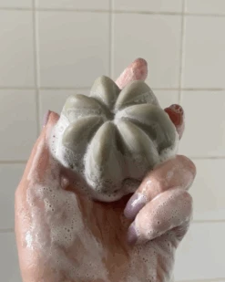 Le Shampoing Solide Detox -Cosmétique Boutique Captured ecran2023 06 05a10.37.20