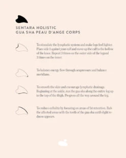 Gua Sha Peau D'Ange Corps -Cosmétique Boutique Gua sha peau d ange corps EN