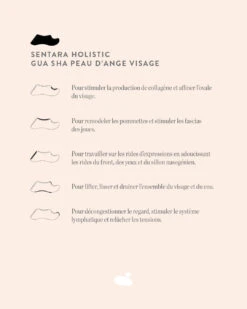 Gua Sha Peau D'Ange Visage -Cosmétique Boutique Gua sha peau d ange visage FR