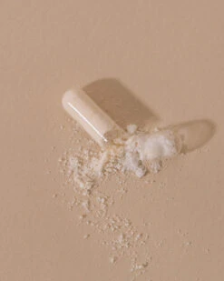 Microbiote & Nombril Compléments Digestion 9 Microbiote & Nombril Compléments Digestion -Cosmétique Boutique Microbiote et Nombril 3